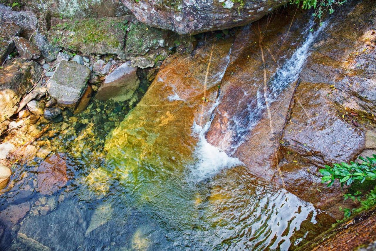 Sitio Serra Orgaos Com Rio Aguas Cristalinas Guapimirim Ngoại thất bức ảnh